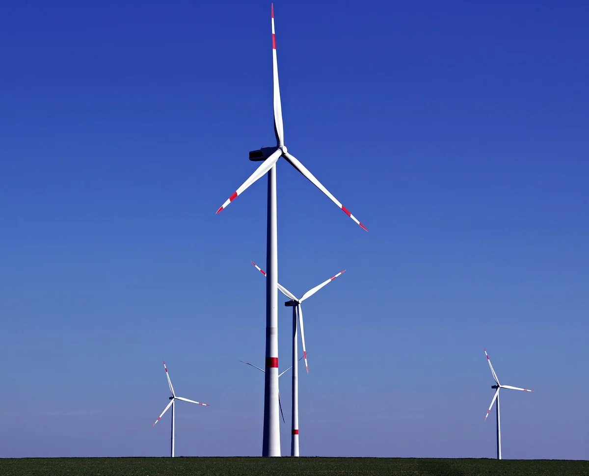 Les 3 piliers de la transition écologique – et pourquoi les ignorer vous coûtera cher