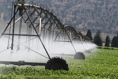 irrigation