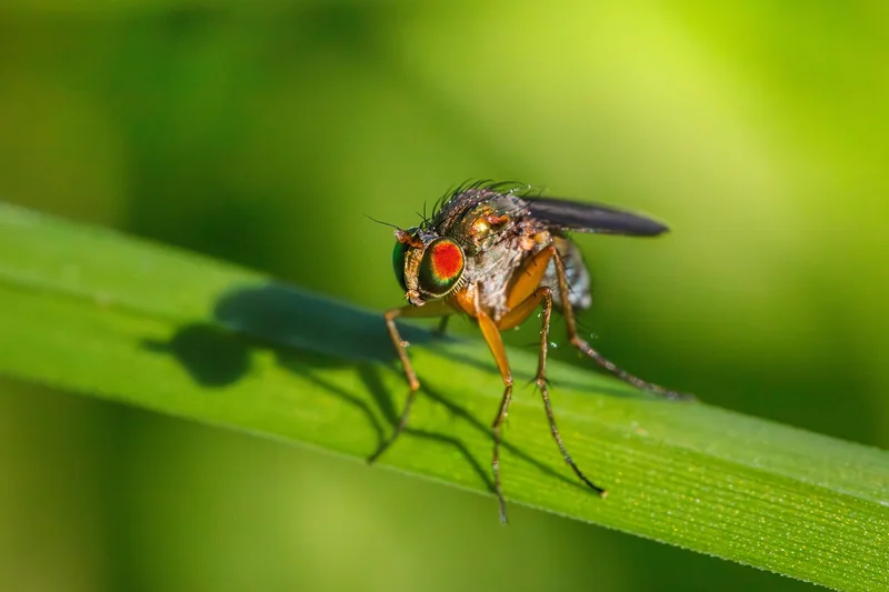 Adaptation des habitats : peut-on encore agir ?