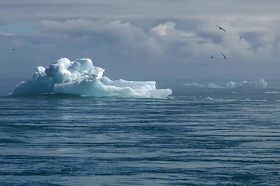 iceberg